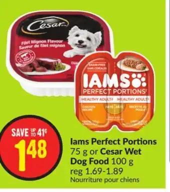 Chalo FreshCo Iams perfect portions 75 g or cesar wet dog food 100 g offer