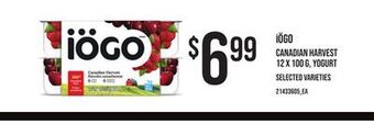 Zehrs Markets Iögo canadian harvest, 12 x 100 g, yogurt offer