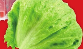 Giant Tiger Iceberg lettuce offer