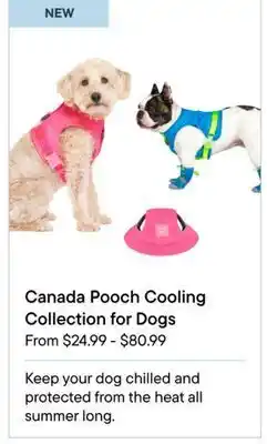 Petvalu Canada pooch cooling collection for dogs offer