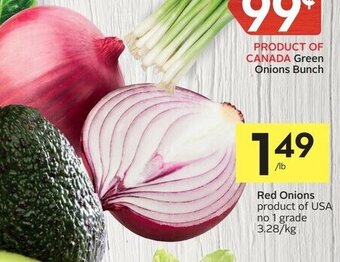 Foodland Red onions offer