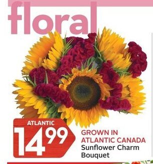 Foodland Sunflower charm bouquet offer