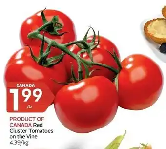 Foodland Red cluster tomatoes in the vine offer