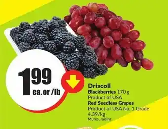 FreshCo Driscoll blackberries offer