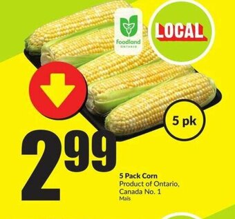 FreshCo 5 Pack corn offer