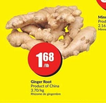 FreshCo Ginger root offer