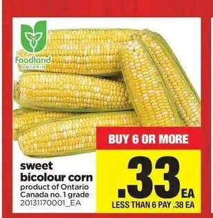 Real Canadian Superstore Sweet bicolour corn offer