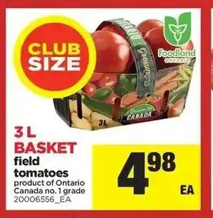 Real Canadian Superstore Field tomatoes offer