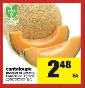 Real Canadian Superstore Cantaloupe offer