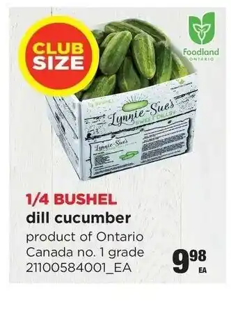 Real Canadian Superstore Dill cucumber offer
