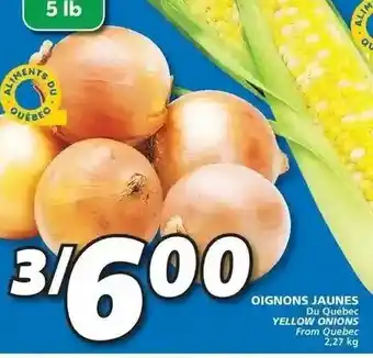 IGA Oignons Jaunes offer