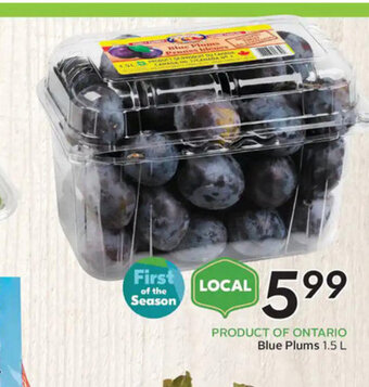 Sobeys Blue Plums offer