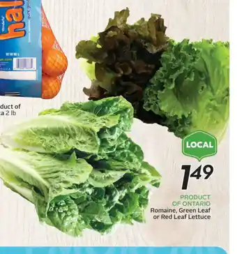 Sobeys Romaine,green leaf offer