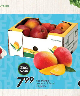 Sobeys Red Mango offer