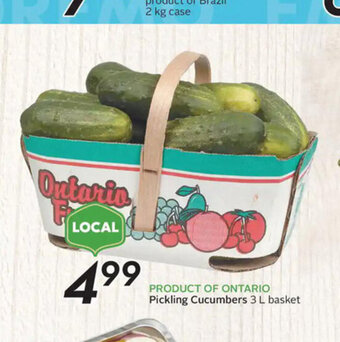 Sobeys Pickling Cucumbers offer