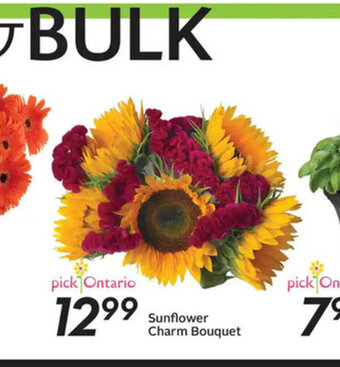 Sobeys Sunflower Charm Bouquet offer