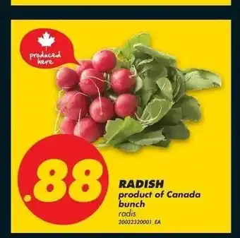 No Frills Radish offer