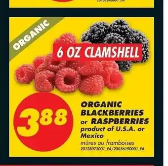 No Frills Organic Blackberries offer
