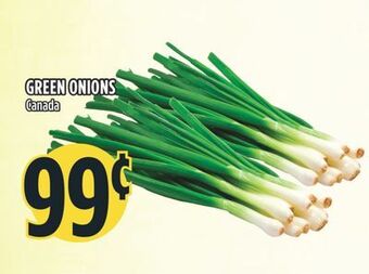 Marché Adonis Green onions offer