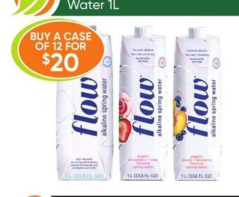 Healthy Planet Flow water offer