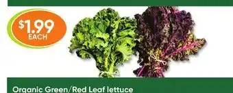 Healthy Planet Organic green/black kale offer