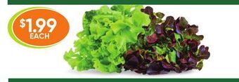 Healthy Planet Organic green/red leaf lettuce offer