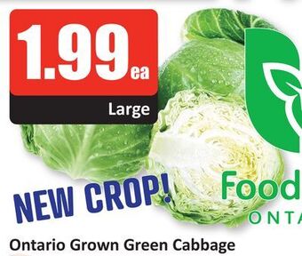 Starsky Ontario grown green cabbage offer