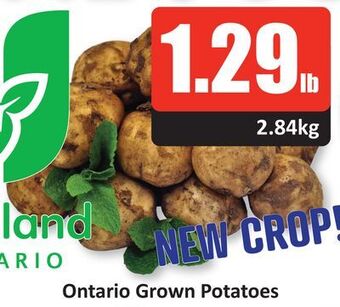 Starsky Ontario grown potatoes offer