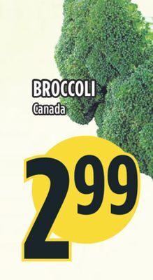 Marché Adonis Broccoli offer