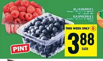 Food Basics BLUEBERRIES offer