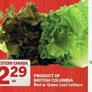 IGA Red leaf lettuce offer