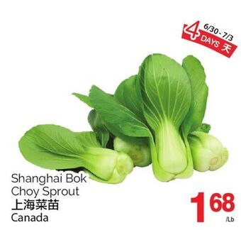 T&T Supermarket Shanghai bok choy sprout offer