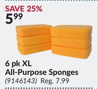 Princess Auto 6 pk xl all-purpose sponges offer