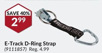 Princess Auto E-track d-ring strap offer