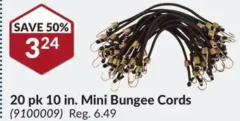 Princess Auto 20 pk 10 in. mini bungee cords offer