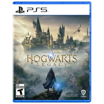 Best Buy Hogwarts legacy (ps5) offer