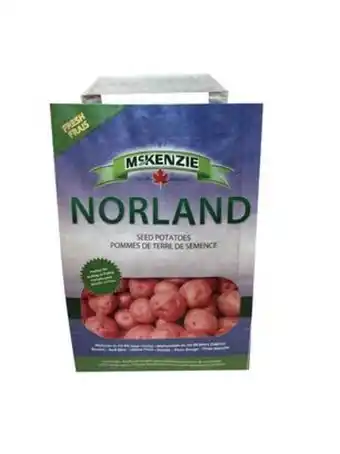 Norland seed potatoes