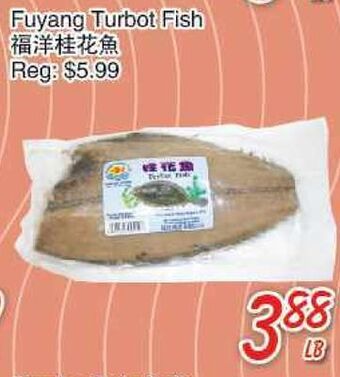 Foody Mart Fuyang turbot fish offer