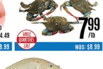 Nations Fresh Foods Live blue crab offer