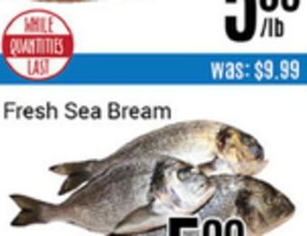 Nations Fresh Foods Fresh sea bream offer