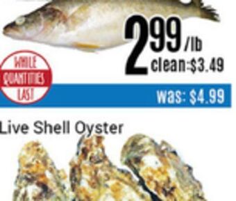 Nations Fresh Foods Live shell oyster offer
