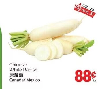 T&T Supermarket Chinese White Radish offer