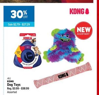 Ren’s Pets Depot Kong dog toys offer
