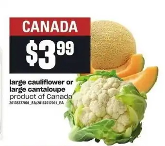 Independent Grocer Large cauliflower or large cantaloupe offer