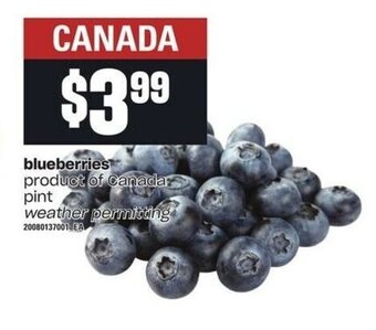 Independent Grocer Blueberries offer