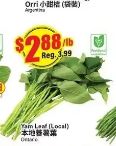 Btrust Supermarket Yarn leaf (local) offer