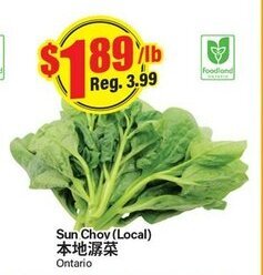 Btrust Supermarket Sun choy (local) offer