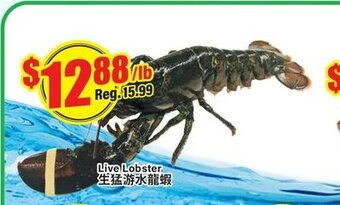 Btrust Supermarket Live lobster offer