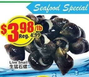 Btrust Supermarket Live snail offer