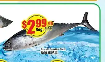 Btrust Supermarket Fresh bonito fish offer